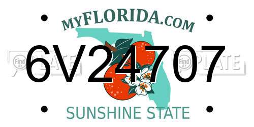 6V24707 Florida License Plate