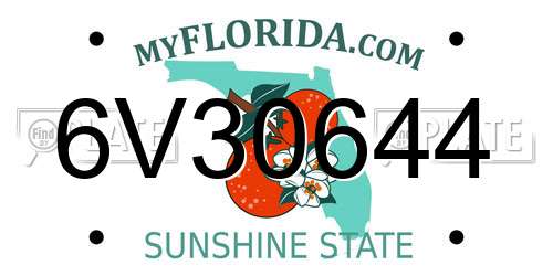 6V30644 Florida License Plate
