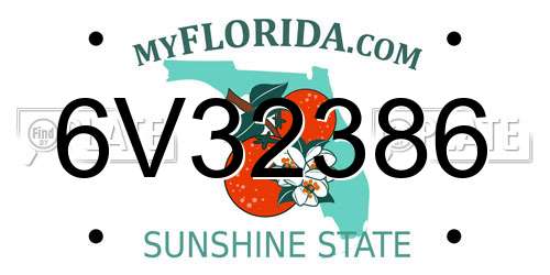 6V32386 Florida License Plate