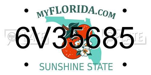 6V35685 Florida License Plate