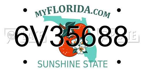 6V35688 Florida License Plate