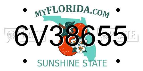 6V38655 Florida License Plate