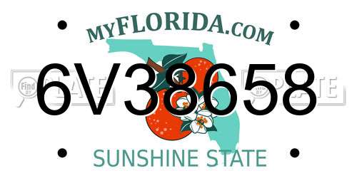 6V38658 Florida License Plate