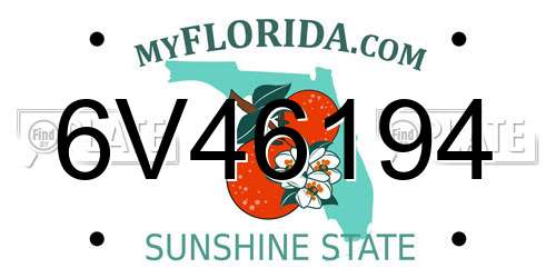 6V46194 Florida License Plate