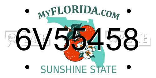 6V55458 Florida License Plate