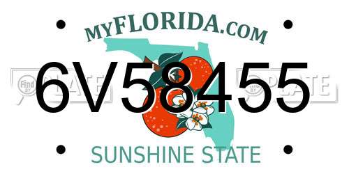6V58455 Florida License Plate