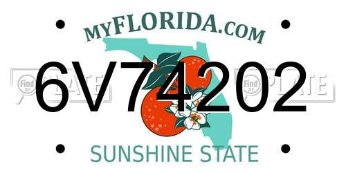 6V74202 Florida License Plate