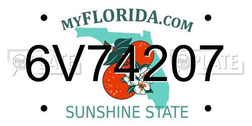 6V74207 Florida License Plate