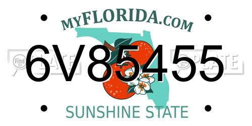 6V85455 Florida License Plate