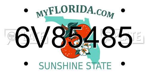 6V85485 Florida License Plate