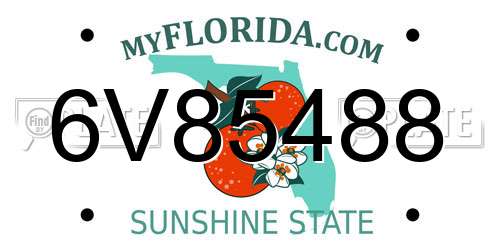 6V85488 Florida License Plate