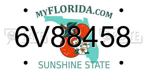 6V88458 Florida License Plate