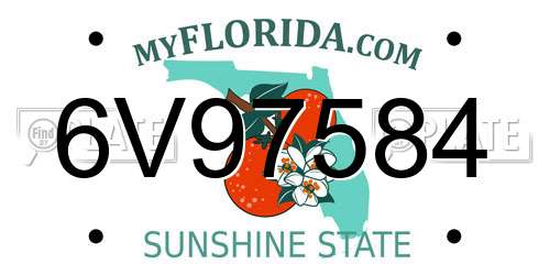 6V97584 Florida License Plate