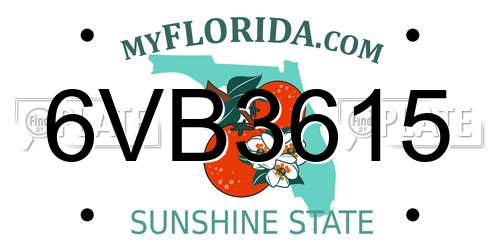6VB3615 Florida License Plate