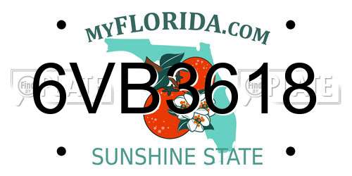 6VB3618 Florida License Plate