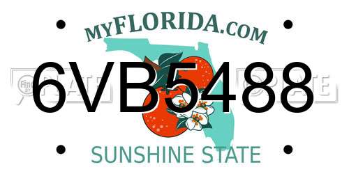6VB5488 Florida License Plate