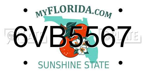 6VB5567 Florida License Plate