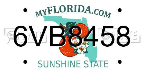6VB8458 Florida License Plate