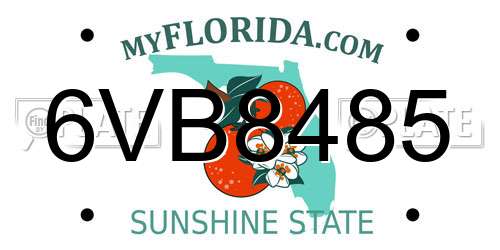 6VB8485 Florida License Plate
