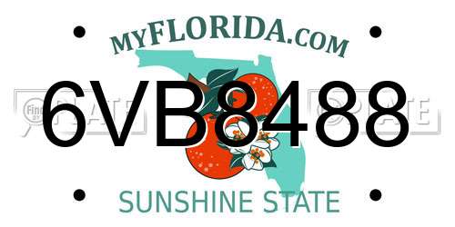 6VB8488 Florida License Plate