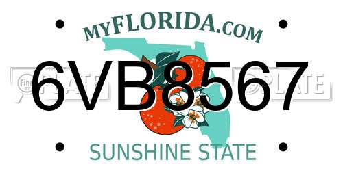 6VB8567 Florida License Plate
