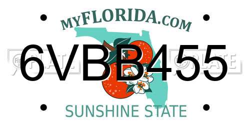 6VBB455 Florida License Plate