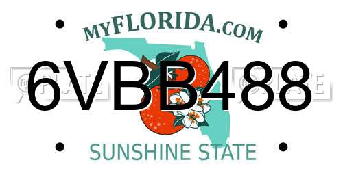 6VBB488 Florida License Plate