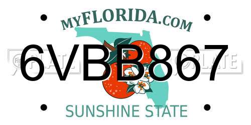 6VBB867 Florida License Plate