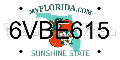 6VBE615 Florida License Plate