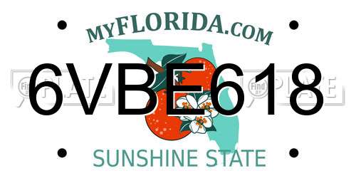 6VBE618 Florida License Plate