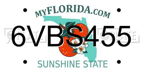 6VBS455 Florida License Plate