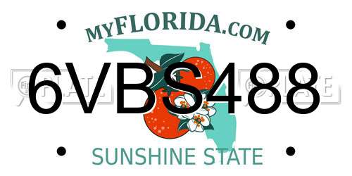 6VBS488 Florida License Plate