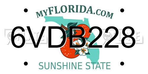 6VDB228 Florida License Plate