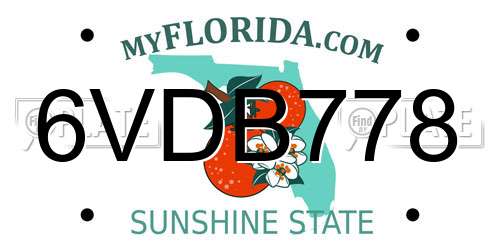 6VDB778 Florida License Plate