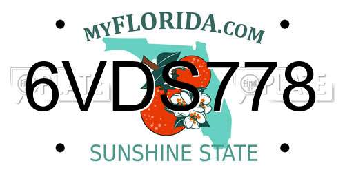 6VDS778 Florida License Plate