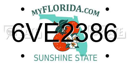 6VE2386 Florida License Plate