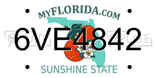 6VE4842 Florida License Plate