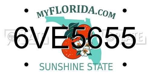 6VE5655 Florida License Plate