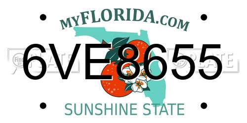 6VE8655 Florida License Plate