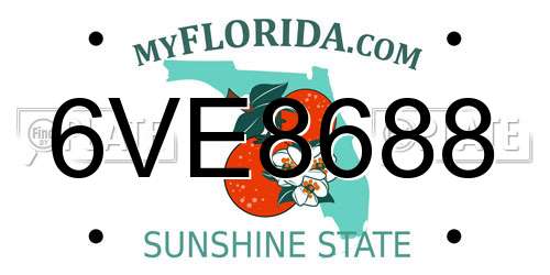 6VE8688 Florida License Plate