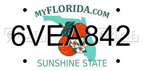 6VEA842 Florida License Plate