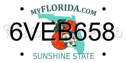 6VEB658 Florida License Plate