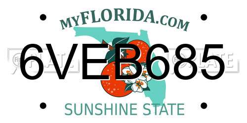 6VEB685 Florida License Plate