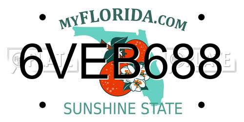 6VEB688 Florida License Plate