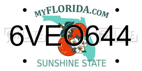 6VEO644 Florida License Plate