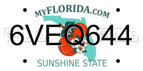 6VEQ644 Florida License Plate