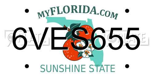 6VES655 Florida License Plate