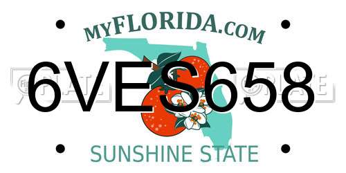 6VES658 Florida License Plate