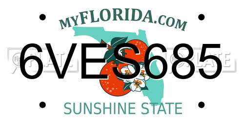 6VES685 Florida License Plate