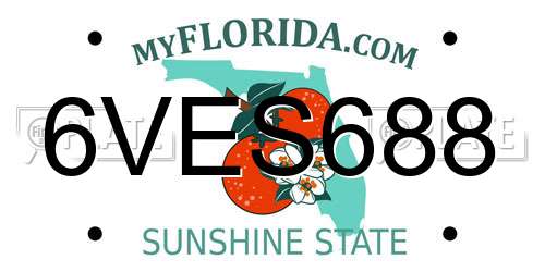 6VES688 Florida License Plate